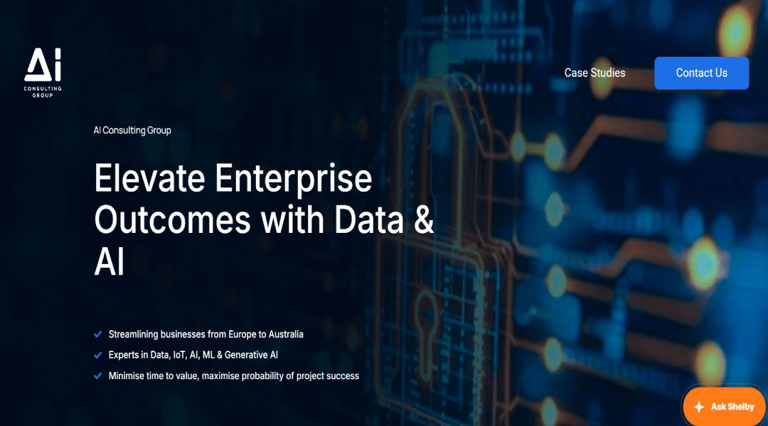 AI Consulting Group